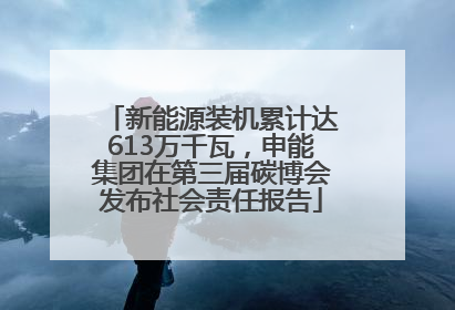 新能源装机累计达613万千瓦，申能集团在第三届碳博会发布社会责任报告