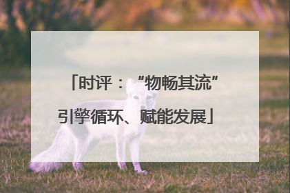 时评：“物畅其流”引擎循环、赋能发展