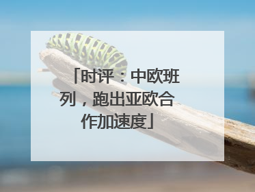 时评：中欧班列，跑出亚欧合作加速度