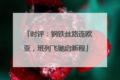 时评：钢铁丝路连欧亚，班列飞驰启新程