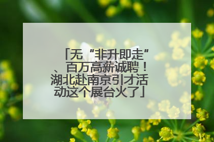 无“非升即走”、百万高薪诚聘！湖北赴南京引才活动这个展台火了