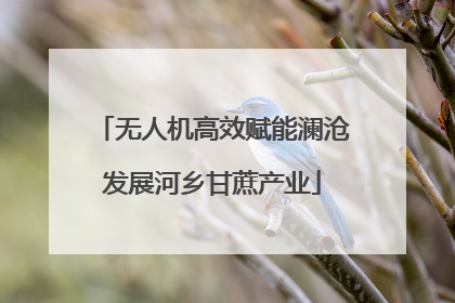 无人机高效赋能澜沧发展河乡甘蔗产业