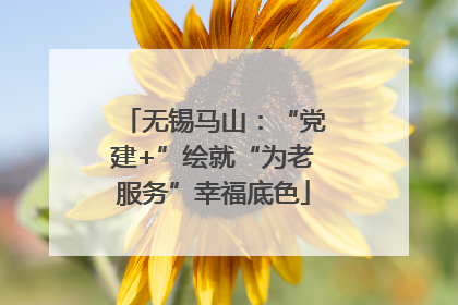 无锡马山：“党建+”绘就“为老服务”幸福底色