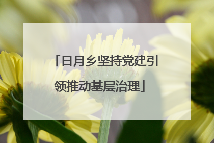 日月乡坚持党建引领推动基层治理