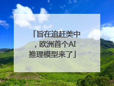 旨在追赶美中，欧洲首个AI推理模型来了
