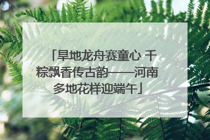 旱地龙舟赛童心 千粽飘香传古韵——河南多地花样迎端午