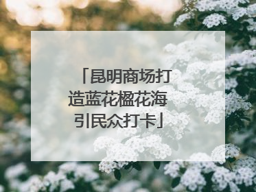 昆明商场打造蓝花楹花海引民众打卡