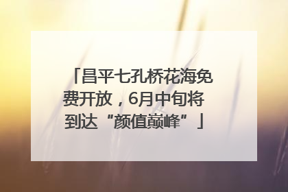 昌平七孔桥花海免费开放，6月中旬将到达“颜值巅峰”