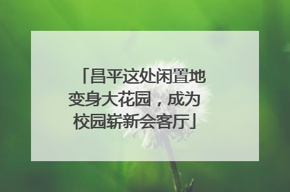 昌平这处闲置地变身大花园，成为校园崭新会客厅