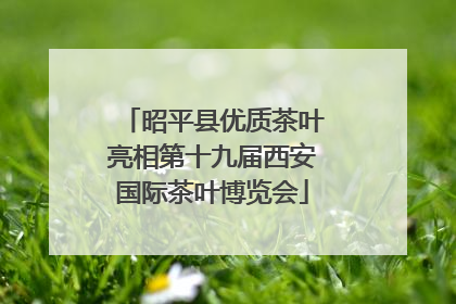 昭平县优质茶叶亮相第十九届西安国际茶叶博览会