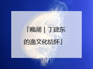 晚潮｜丁建东的渔文化情怀