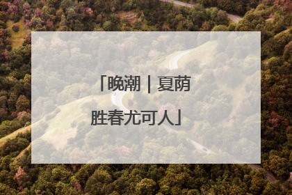 晚潮｜夏荫胜春尤可人