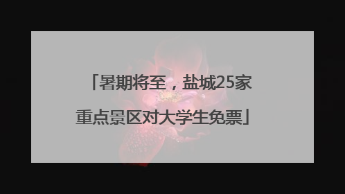 暑期将至，盐城25家重点景区对大学生免票