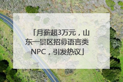 月薪超3万元，山东一景区招募语言类NPC，引发热议