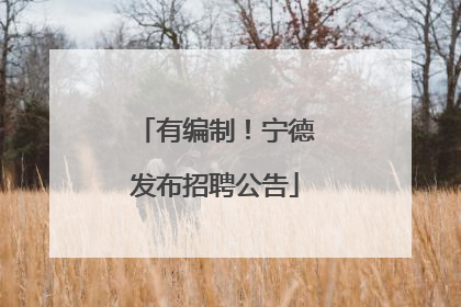 有编制！宁德发布招聘公告
