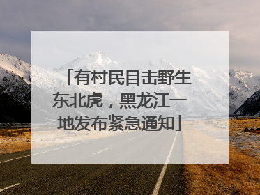 有村民目击野生东北虎，黑龙江一地发布紧急通知
