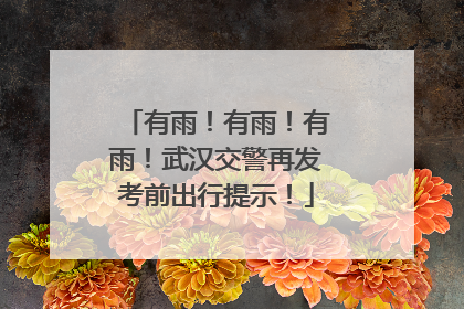 有雨！有雨！有雨！武汉交警再发考前出行提示！