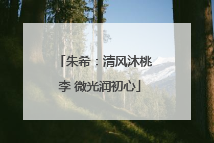 朱希：清风沐桃李 微光润初心
