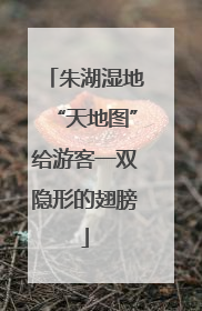 朱湖湿地“天地图”给游客一双隐形的翅膀
