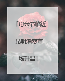 母亲节临近 昆明消费市场升温