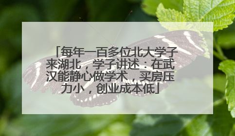 每年一百多位北大学子来湖北，学子讲述：在武汉能静心做学术，买房压力小，创业成本低