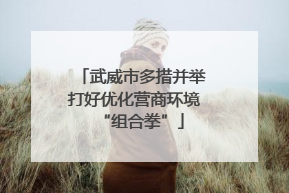 武威市多措并举打好优化营商环境“组合拳”