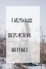 武当山盆景艺术文化展开展