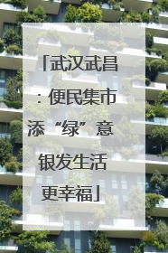 武汉武昌：便民集市添“绿”意 银发生活更幸福