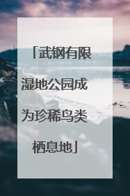 武钢有限湿地公园成为珍稀鸟类栖息地