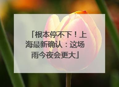 根本停不下！上海最新确认：这场雨今夜会更大