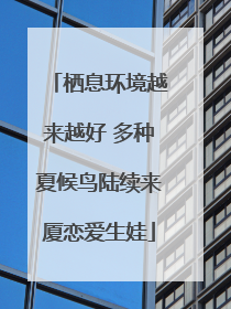 栖息环境越来越好 多种夏候鸟陆续来厦恋爱生娃