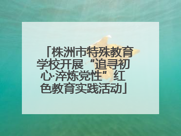 株洲市特殊教育学校开展“追寻初心·淬炼党性”红色教育实践活动