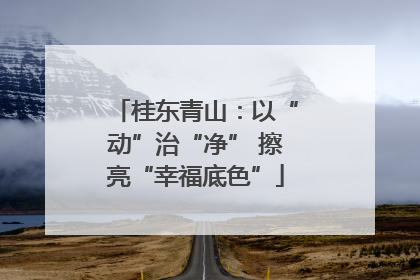 桂东青山：以“动”治“净” 擦亮“幸福底色”