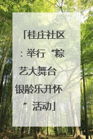 桂庄社区：举行“粽艺大舞台 银龄乐开怀”活动