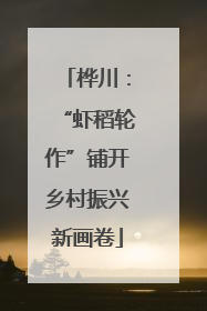 桦川：“虾稻轮作”铺开乡村振兴新画卷