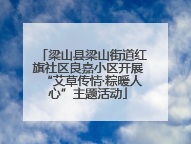 梁山县梁山街道红旗社区良嘉小区开展“艾草传情·粽暖人心”主题活动
