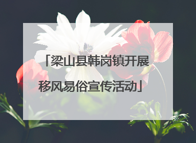 梁山县韩岗镇开展移风易俗宣传活动