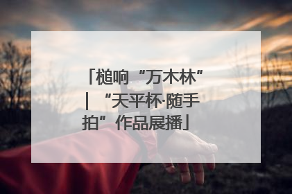 槌响“万木林”｜“天平杯·随手拍”作品展播