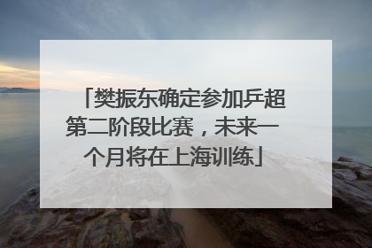 樊振东确定参加乒超第二阶段比赛，未来一个月将在上海训练