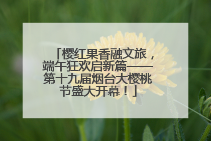 樱红果香融文旅，端午狂欢启新篇——第十九届烟台大樱桃节盛大开幕！