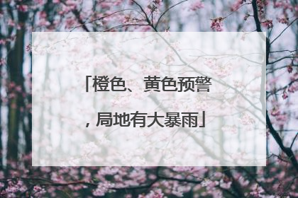 橙色、黄色预警，局地有大暴雨