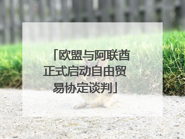 欧盟与阿联酋正式启动自由贸易协定谈判