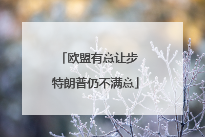 欧盟有意让步 特朗普仍不满意