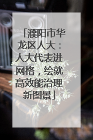 濮阳市华龙区人大：人大代表进网格，绘就高效能治理新图景