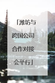 潍坊与跨国公司合作对接会举行