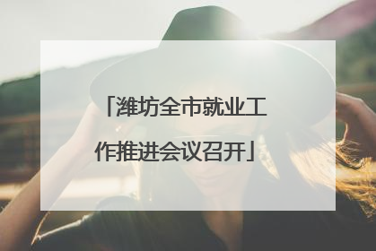 潍坊全市就业工作推进会议召开