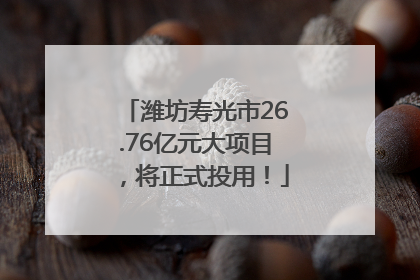 潍坊寿光市26.76亿元大项目，将正式投用！