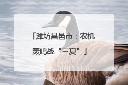潍坊昌邑市：农机轰鸣战“三夏”