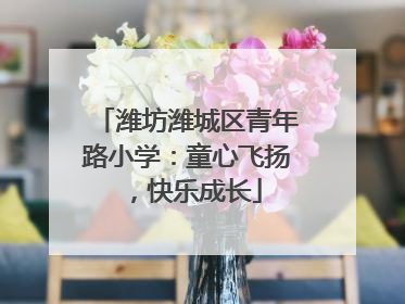 潍坊潍城区青年路小学：童心飞扬，快乐成长