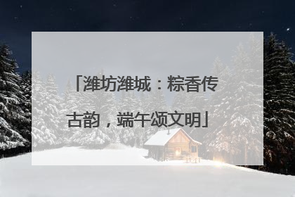潍坊潍城：粽香传古韵，端午颂文明